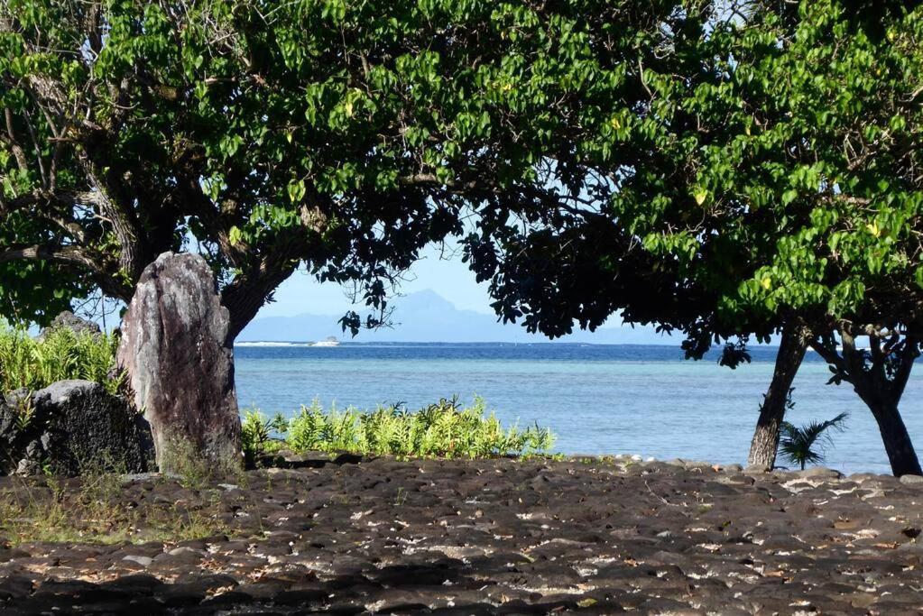 Raiatea, Opoa, Studio Du Fare Reve, Acces Mer Privatif מראה חיצוני תמונה
